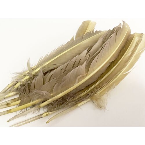 SPECIAL/Wings - Rich Cream (Qty 10)