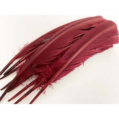 SPECIAL/Wings - Burgundy (Qty 10)