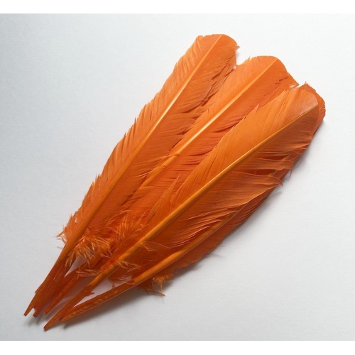 SPECIAL/Wings - Orange (Qty 10)