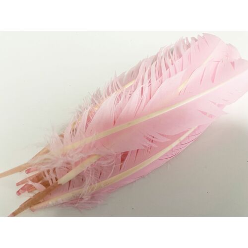 SPECIAL/Wings - Pink (Qty 10)