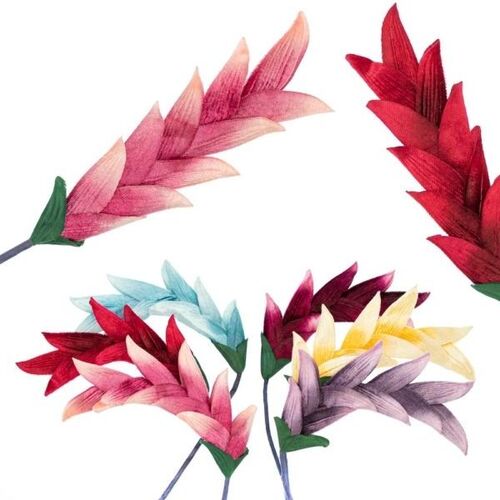 SPECIAL/Costa Flower Stem