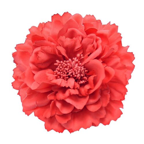 Peony Flower - Coral