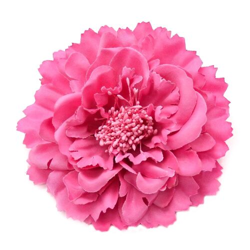 Peony Flower - Fuchsia
