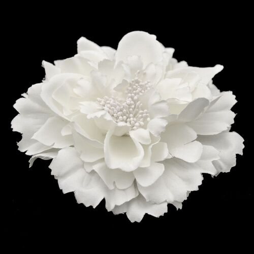 Peony Flower - White