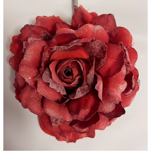 SPECIAL/Velvet Rose - Style 2 [Colour: Red]