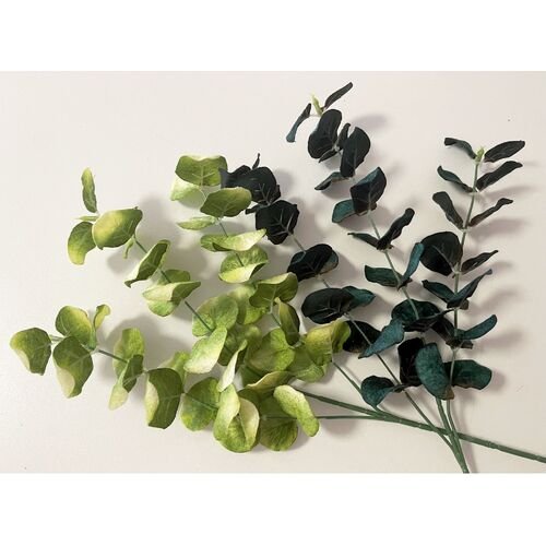 Velvet Gum Leaf Stem