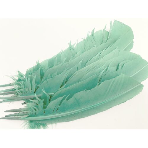 SPECIAL/Wings - Aqua (Qty 10)
