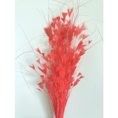 Feather Tree/Style 3 - Coral