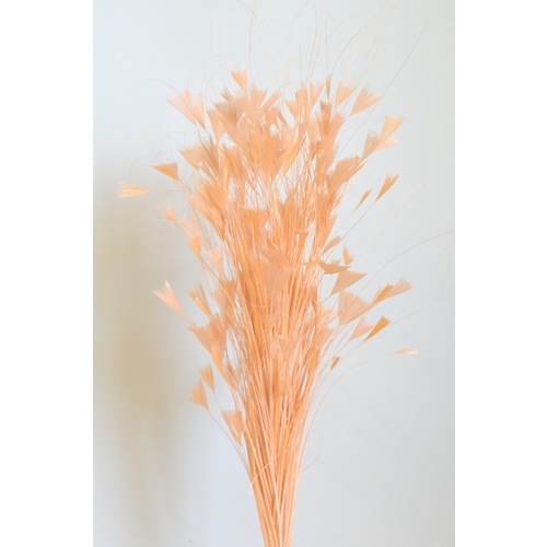 Feather Tree/Style 3 - Peach