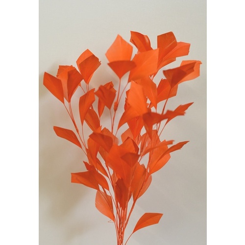 Feather Tree/Style 4 - Orange