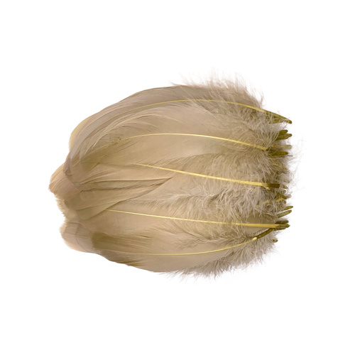 Nagoire/Full/Qty 50 - 1.Beige