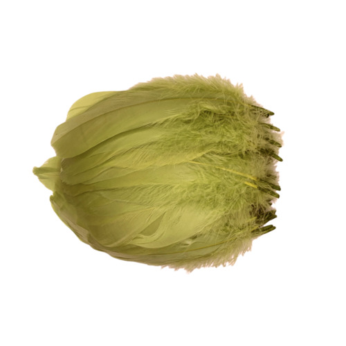 Nagoire/Full/Qty 50 - 3.Celery