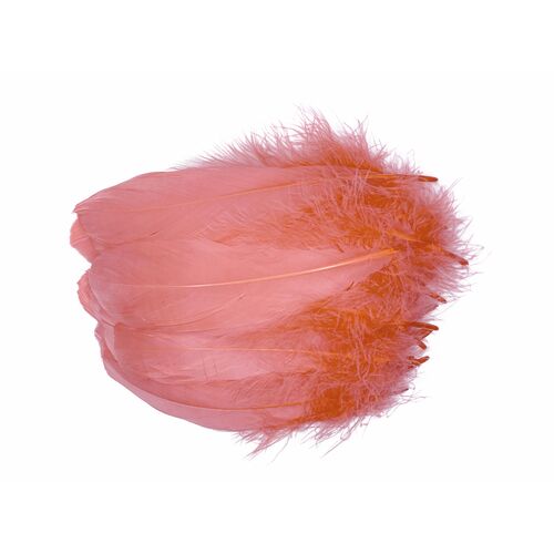 Nagoire/Full/Qty 50 - 6.Coral Light