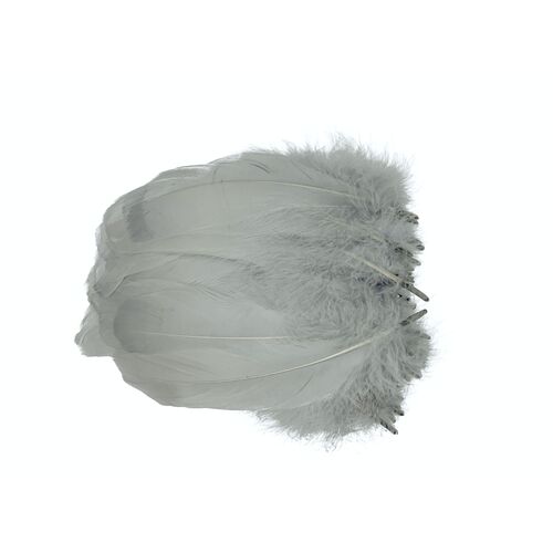 Nagoire/Full/Qty 50 - 0.Grey Light