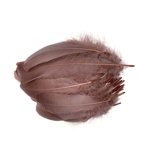 Nagoire/Full/Qty 50 - 1.Nude Dusty