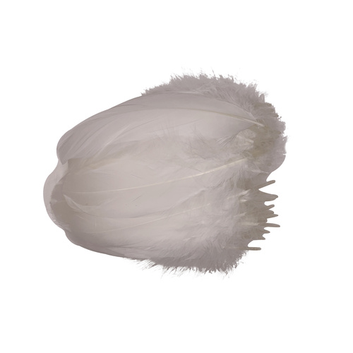 Nagoire/Full/Qty 50 - 0.Off White