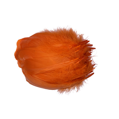 Nagoire/Full/Qty 50 - 6.Orange