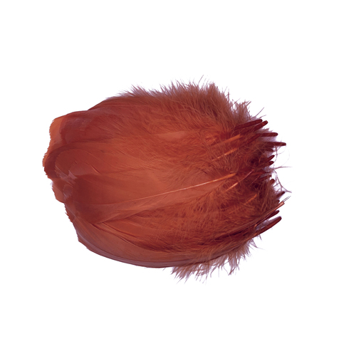 Nagoire/Full/Qty 50 - 6.Orange Burnt