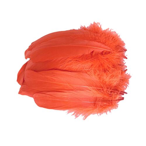 Nagoire/Full/Qty 50 - 6.Orange Bright