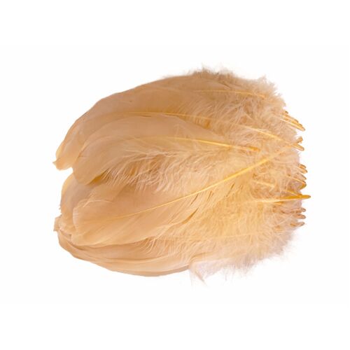 Nagoire/Full/Qty 50 - 6.Orange Melon