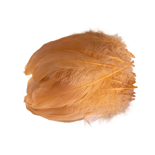 Nagoire/Full/Qty 50 - 6.Orange Peach