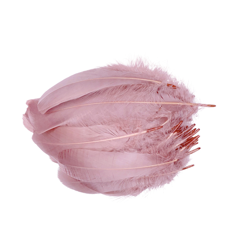 Nagoire/Full/Qty 50 - 4.Cashmere Rose