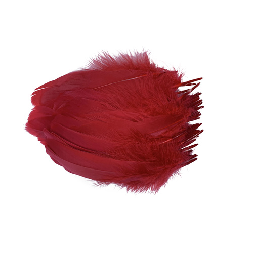 Nagoire/Full/Qty 50 - 6.Red