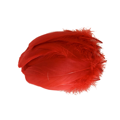 Nagoire/Full/Qty 50 - 6.Red Bright