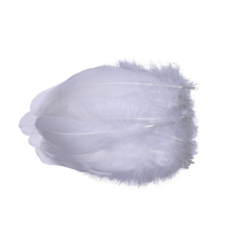 Nagoire/Full/Qty 50 - 0.White