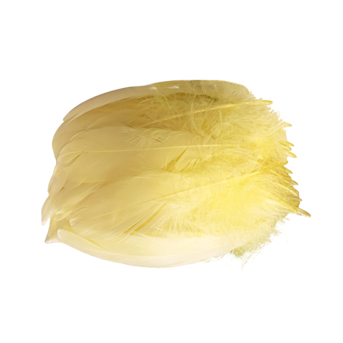 Nagoire/Full/Qty 50 - 6.Yellow Lemon
