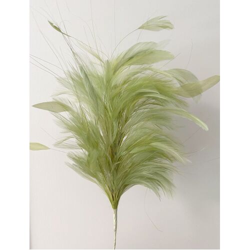 SPECIAL/Feather Tree - Lime