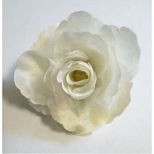 SPECIAL/Rose [Colour: Ivory]