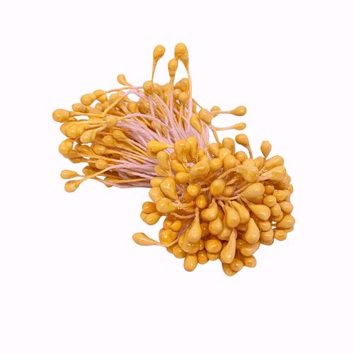 Stamen Pearl - Yellow Sun