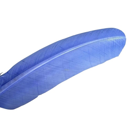 Wing Feather - Wedgewood