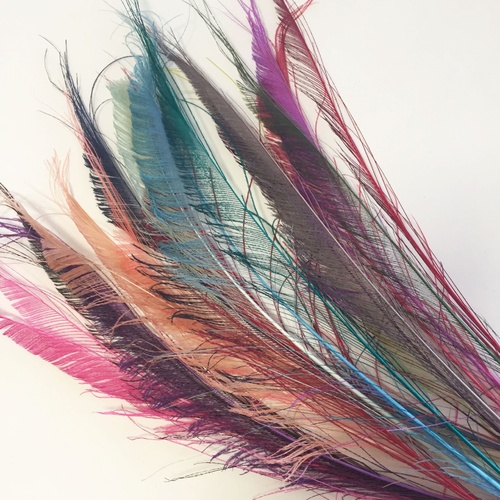 SPECIAL/Peacock Swords - Assorted (Qty 20)