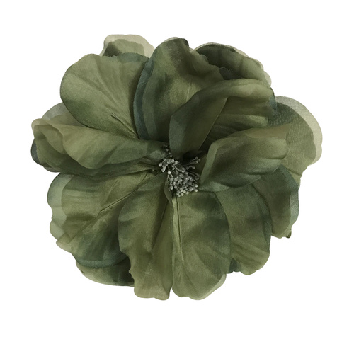 SPECIAL/Wild Rose - Olive
