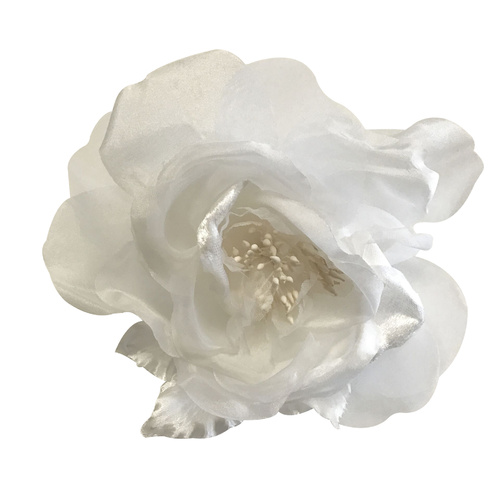 Open Rose/3352 - 6364