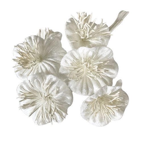 Winter Blossom - Ivory