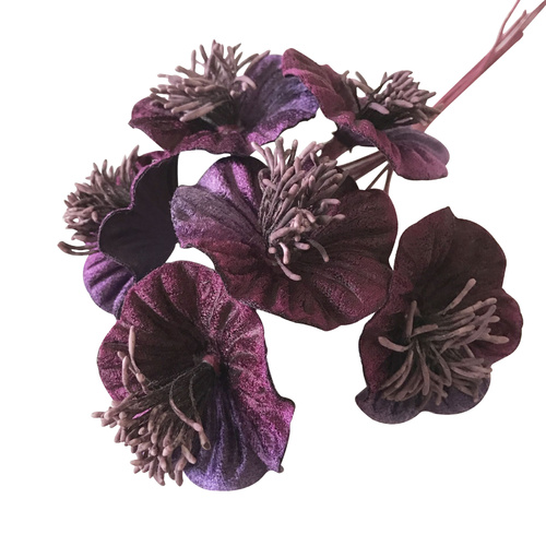 Winter Blossom - Plum