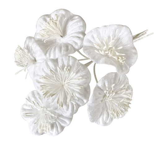 Winter Blossom - White