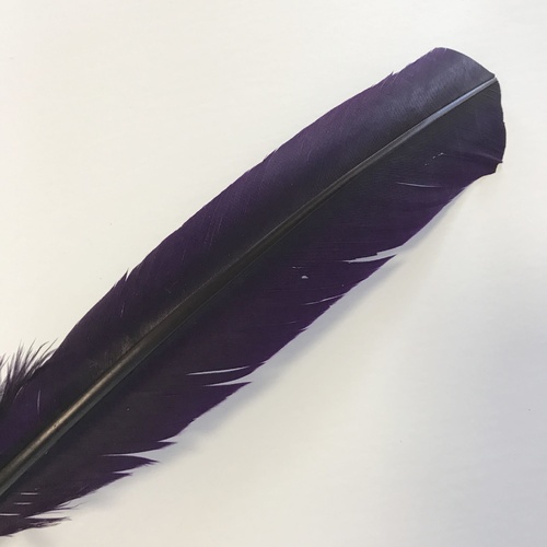 Wing Feather - Grape