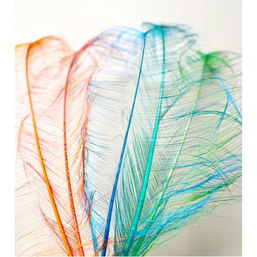 Burnt Ostrich Feather