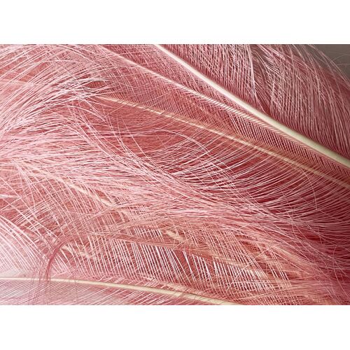 Burnt Ostrich - Pink