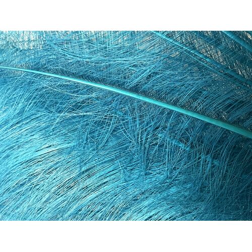 Burnt Ostrich - Turquoise