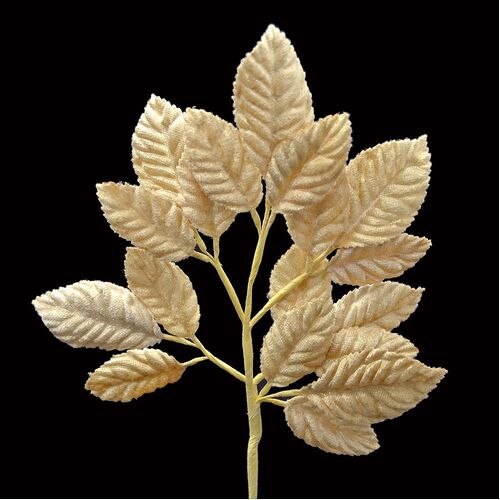 Velvet Leaf Stem - Cream