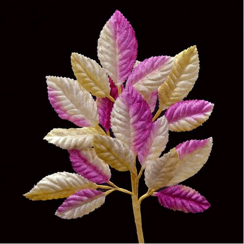 Velvet Leaf Stem - Fuchsia Beige