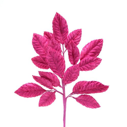 Velvet Leaf Stem - Fuchsia