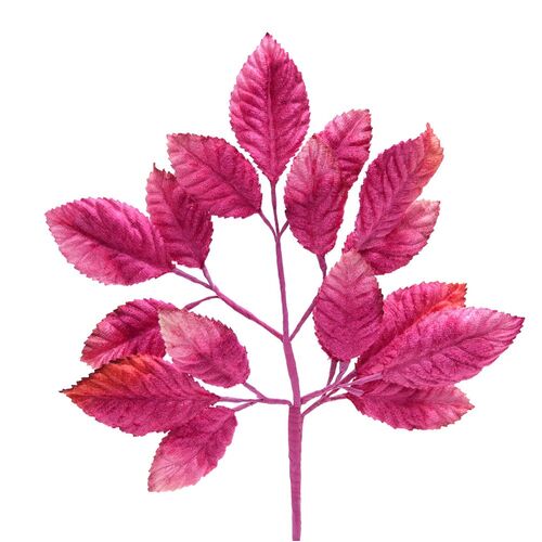 Velvet Leaf Stem - Fuchsia Shaded