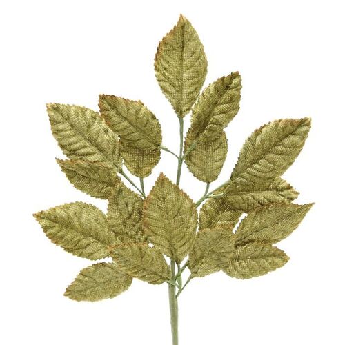 Velvet Leaf Stem - Green Leaf