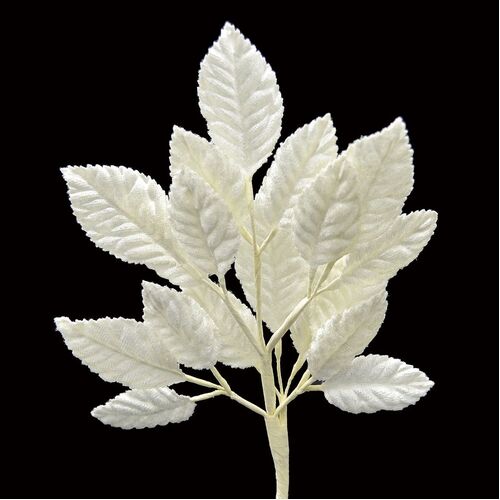 Velvet Leaf Stem - Ivory